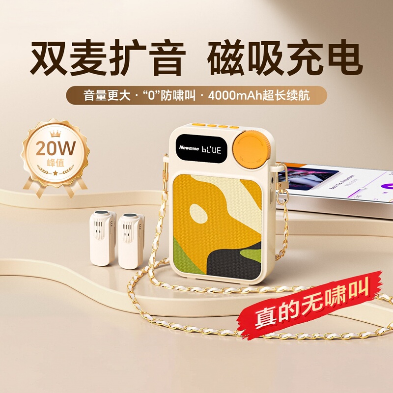 German Wireless Lavalier-Style Small Bee Amplifier Microphone Speaker for Teachers