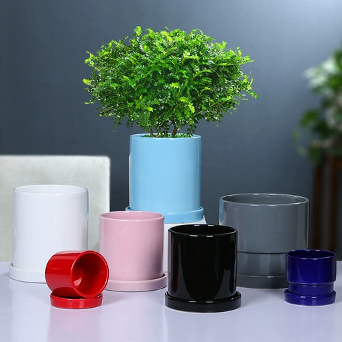 Керамический в северном стиле Простые цилиндрические черно -белые световые пояса отделяет лоток сочный зеленый укроп зеленое растение