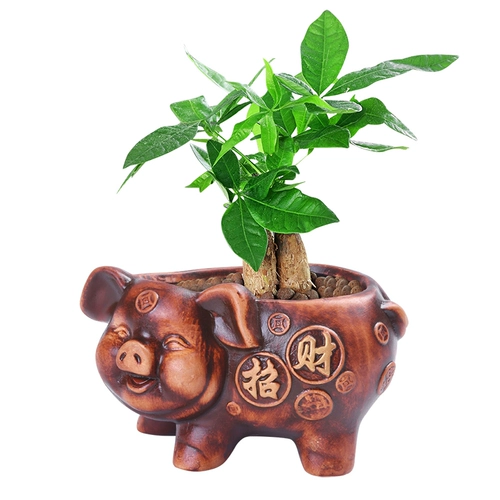 Ретро -дерево