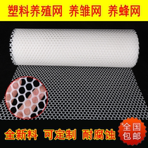 Thickened chicken raising duck raising goose Beekeeping special brood mat Plastic flat grid leakage fecal foot step fence net