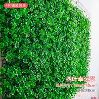 Четыре Leaf Lucky Grass