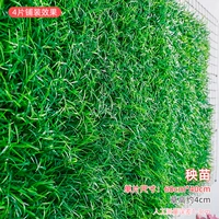 Саженцы без цветов