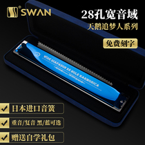 Imported sound Reed Swan dreamer 28 holes harmonica professional performance level compound stress C tune beginner adult introduction