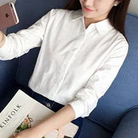 Mùa xuân mới phiên bản Hàn Quốc của cổ áo búp bê cotton răng chó ren áo dài tay Nhật Bản nhỏ sơ mi trắng hoang dã nữ áo voan