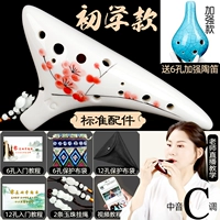 [Рекомендуется начальной школой] Красная слива Отправить шестую планету Тауо+Материальное образование+Западная веревка+Защитная сумка