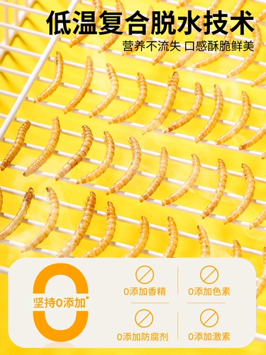 Buka Star Bread Worm, сухой хомяк -закуски косы курица корм для птиц пищевая черепаха пища пища золотой шелковый медведь ежа ежа hedgehog