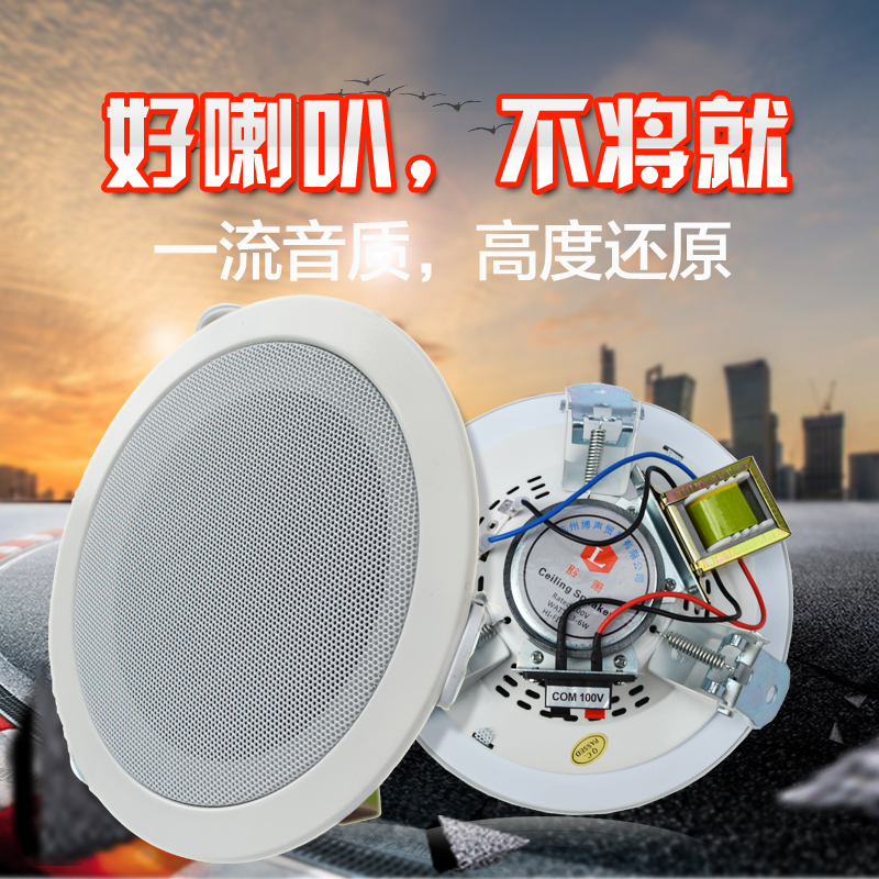 Stereo 3W6W 10W constant pressure ceiling horn ceiling ceiling audio embedded supermarket shop radio music