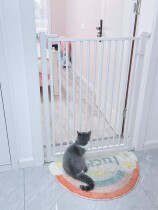 Kitty anti-nuisance running into the house bedroom door fence partition face to prevent cat pickpocketing door fence pet cat anti-cat door