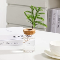 [Рекомендация] Nanyang Sugi+цилиндрическое стекло