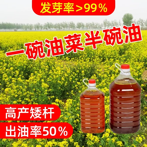 Четыре сезона высотой -лет -рапсовые свинины гилис