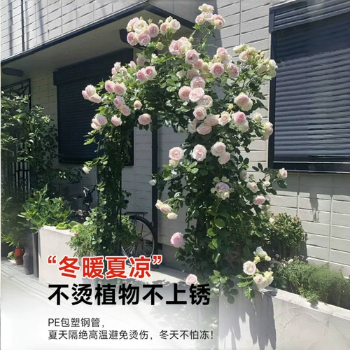 Арка, подставка для цветов, альпинистская пергола, садовая роза, виноград, кованая проволока, проволока, лилия, растение, двор, уличный забор, подставка для цветов