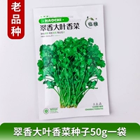 Cui Xiang Big Leaf Seeds Coriands 50 грамм