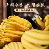 Гидропонное растение бергамота с ветвями, свежими фруктами, свежими украшениями из чайота, комнатное гидропонное зеленое растение в горшке, декоративная цветочная композиция