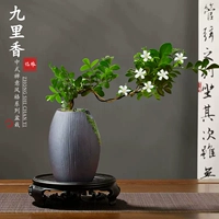 [Основное изображение в популярном стиле] Чаша с надрезом, маленькими листьями и плавающими ветвями благовоний Гури + пластиковая основа