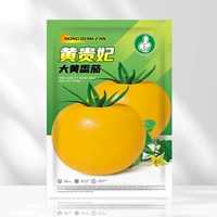 Huang Guifei Rhairb Rhioly Tomato Seeds 100 Grainshine (купите 2 упаковки и получите 1 упаковку, 1 упаковку тех же семян)