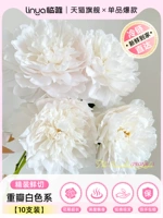 ⭐Готовый склад для быстрой доставки⭐[Твёрдый переплет SF А+ сорт] Пион махровый лепестковый белая серия 10 шт.