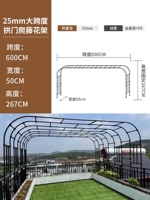 Сверхбольшая арка имеет пролет 6 м, высоту 2,67 м и ширину по бокам 0,5 м [может использоваться как коридор с виноградной решеткой]
