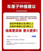 ✅ Плантирующие предложения