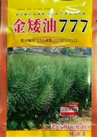 Golden Dwarf 777 мешков 80 г [высокая скорость выхода масла]