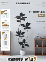 Каучуковое дерево 4-х столбов, 1,8 метра, 26 листьев, черное + полукруглый цементный горшок 