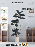 Черный бежевый ластик, 1.6м