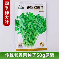 Традиционные старые семена кориандра 30 г оригинальные ≈ 1500 семян, крупные листья, выращенные за четыре сезона.