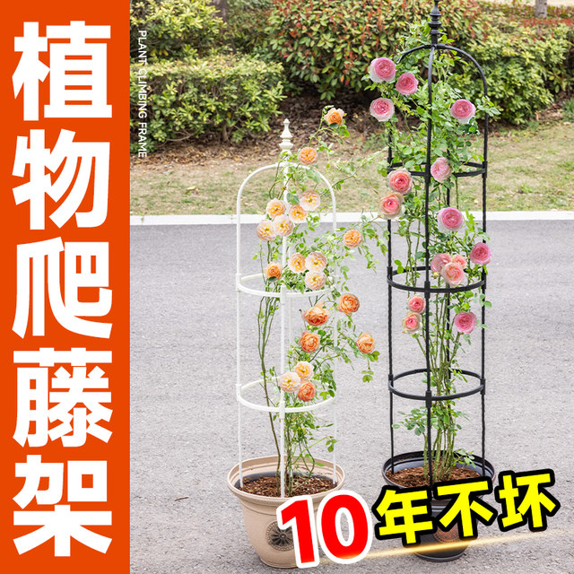 ດອກກຸຫຼາບ Clematis ປີນພູ Pergola ດອກໄມ້ຢືນດອກໄມ້ສະຫນັບສະຫນູນ Stand Rod Flower Pot Plant Stand Balcony Garden Pillar