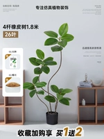 Зеленый ластик, 1.8м