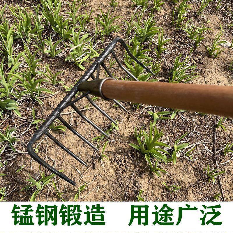 九齿钉耙怎么选？老式铁耙子真的好用吗？农人必备神器揭秘！-耙子-淘宝百科网