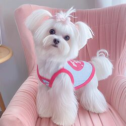 Small Dog and Cat Clothes, Anti-Shedding, Thin Summer Camisole, Pure Cotton, Small Dogs, Yorkshire, Teddy, Bichon