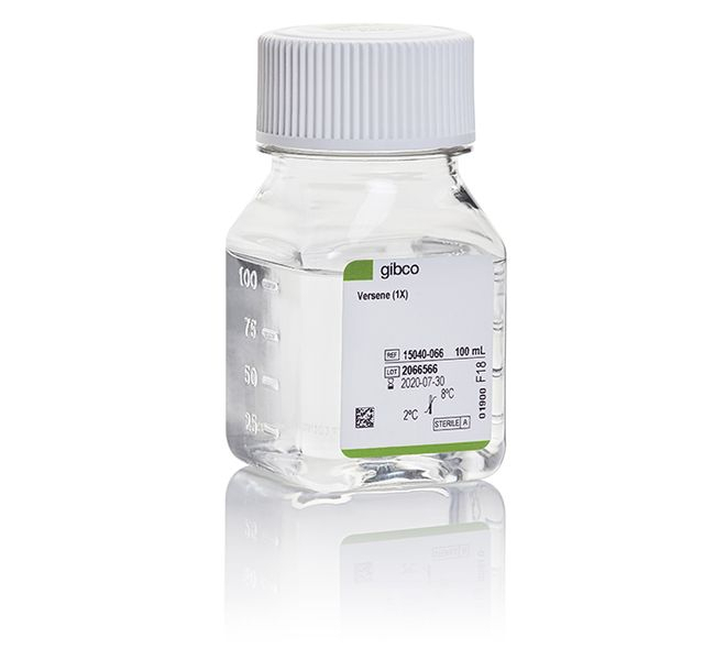 Gibco/15040066/Versene Solution/100Ml