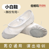 White dance shoes for children and girls soft-bottom practice shoes dancing shoes adult mens cat claw shape classical ballet shoes