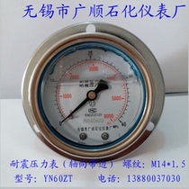 Wuxi Guangshun Petrochemical Instrument Factory YN60ZT Axial Belt Seismic Pressure Gauge M14 * 1 5 Seismic Resistance