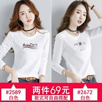 2589 белый+2672 белый