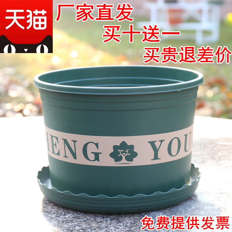 Dwarf Overweight Galen Flower Pot with large size plastic basin Galen basin clear cabin potted gold Ge large flower pot