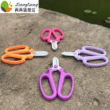 Ножницы для садоводства.