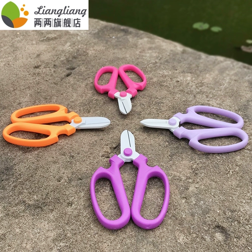 Ножницы для садоводства.