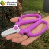 Ножницы для садоводства.