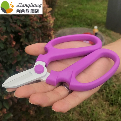 Ножницы для садоводства.