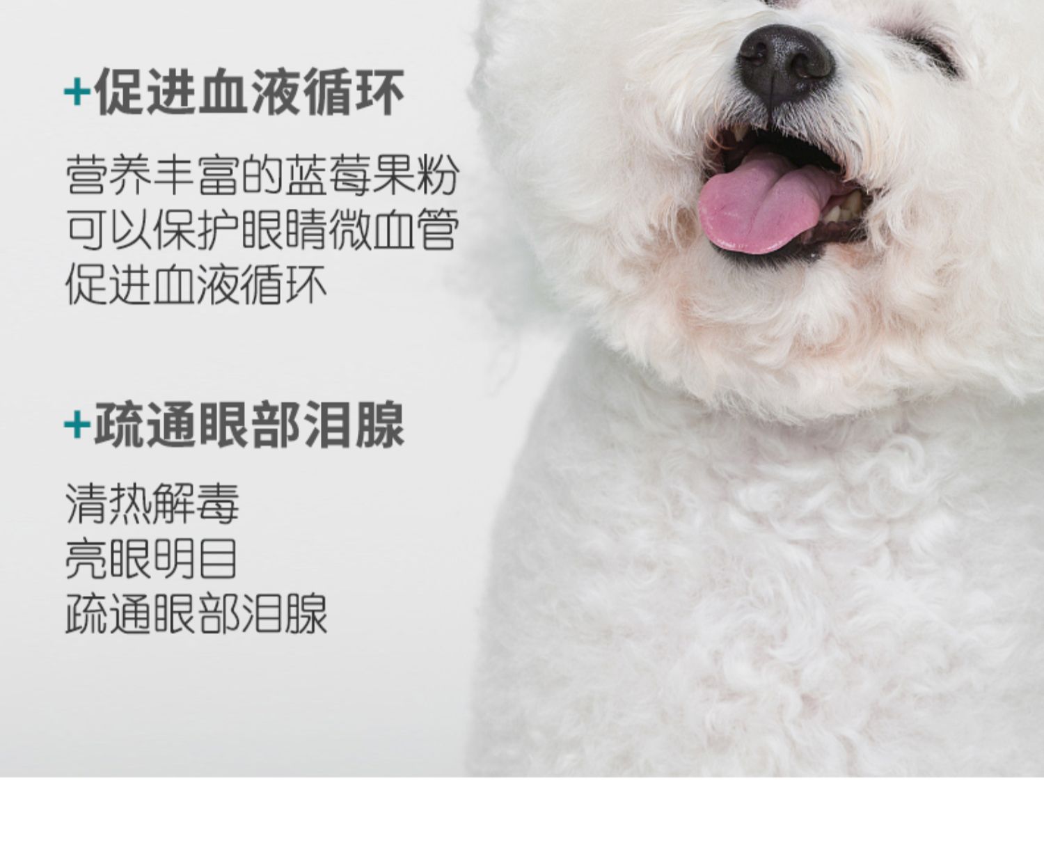 靓 để nước mắt bột nhân tạo xi-rô mắt mèo thuốc nhỏ mắt chống viêm hơn cung gấu - Thuốc nhỏ mắt thuốc nhỏ mắt cool