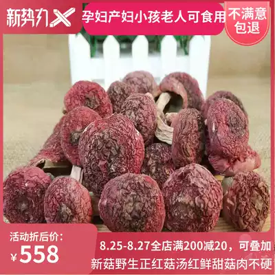 Fujian Sanming authentic wild red mushroom 21 New alpine red vertebral mushroom Red mushroom mushroom Dried month mushroom 500g