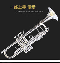 American Baja LT198GS-99 B- flat gold copper silver-plated trumpet band performance professional performance