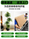 Artificial Green Plant Happiness Tree Living Room Floor-Standing Potted Plant Indoor Light Luxury Decorative Flower Artificial Plant Artificial Plant Bonsai