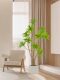 Simulated Green Plants, Fake Flowers, Lily Bamboo Plants, Potted Plants, Living Room Tv Cabinet, Floor-Standing High-End Decoration, Artificial Tree Flower Ornaments
