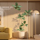 Artificial Rubber Tree Green Plant Faux Plant for Living Room, Light Luxury Imitation Flower Decorative Tree, Large Indoor Potted Floor-Standing Ornament