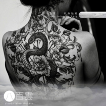 Eight hundred clouds hand-painted Korean style full back big picture sexy charm snake pattern back large area Black gray tattoo