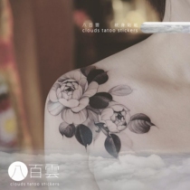MGs eight hundred clouds camellia still love and camellia blossoms one foot full girl shoulder flower tattoo sticker
