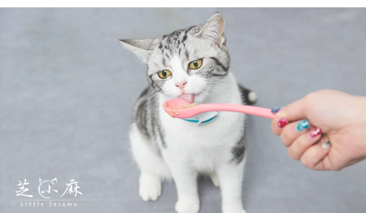 芝 小 麻 siêu Supper silicone mèo đóng hộp nắp đậy nắp đậy tươi cho ăn thìa phổ quát - Cat / Dog hàng ngày Neccessities