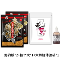 Версия дикой рыбалки *2 + Big Crucian Carp Experience Установка + тянет большой