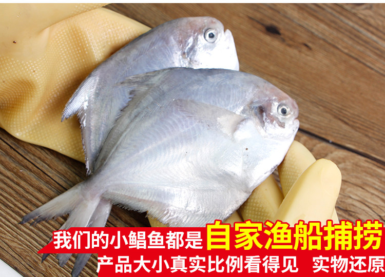 鱼昌,鱼平,鱼时_大山谷图库